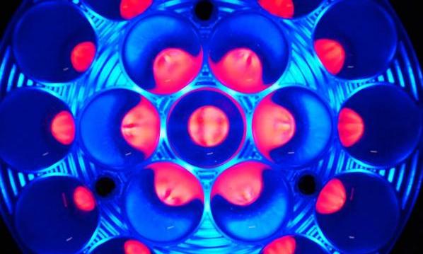 MAC Aura: neu 100 Stück an Lager